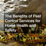 The Benefits of Pest Control Services for Home Health and Safety